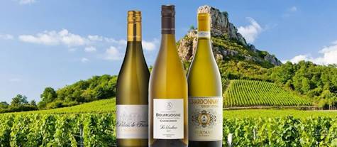 Nauka o uparivanju vina