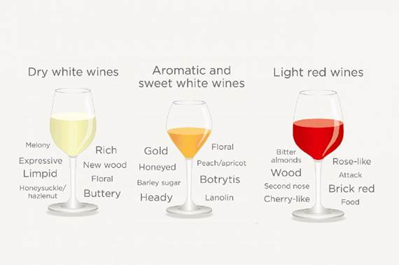 Kako čitati bilješke o degustaciji vina