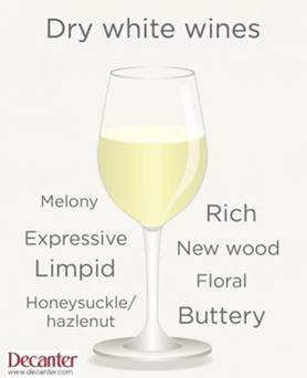 Kako čitati bilješke o degustaciji vina