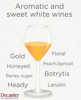 Kako čitati bilješke o degustaciji vina