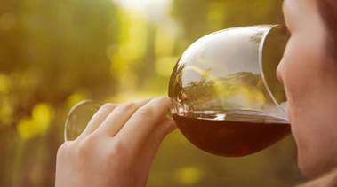 Vino i mnoge strane ljepote