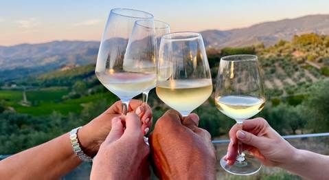 Zašto ignorišemo konceptualnu ekspertizu?