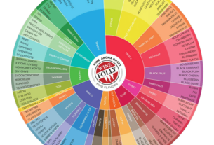 Probajte vino kao profesionalac