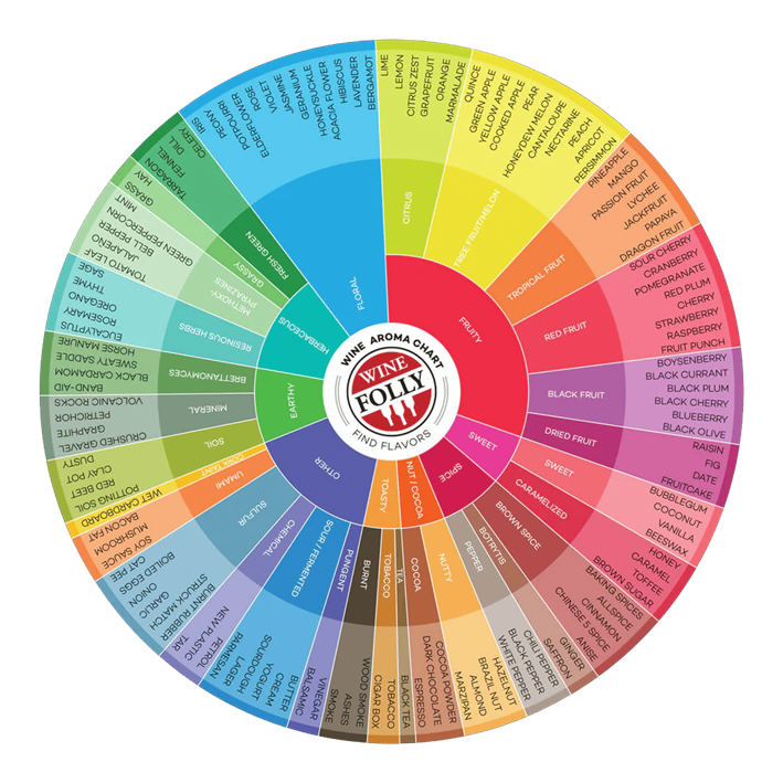 Probajte vino kao profesionalac