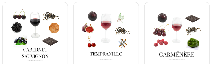 Cabernet Franc - Sve što trebate znati