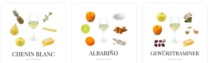 Riesling - Sve što trebate znati