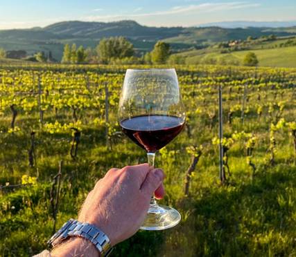 Razumijevanje tanina