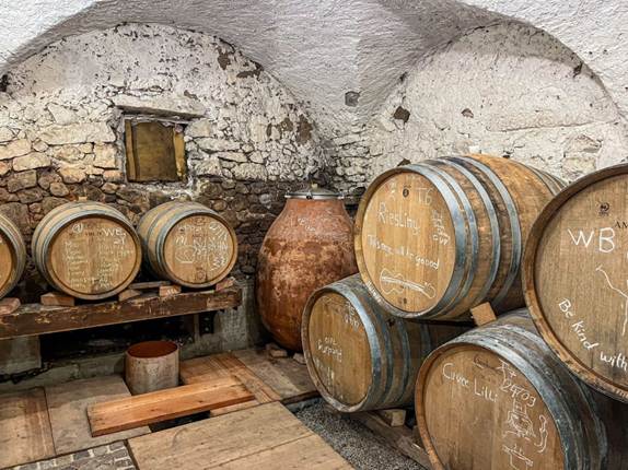 Organsko-biodinamičko i prirodno vino