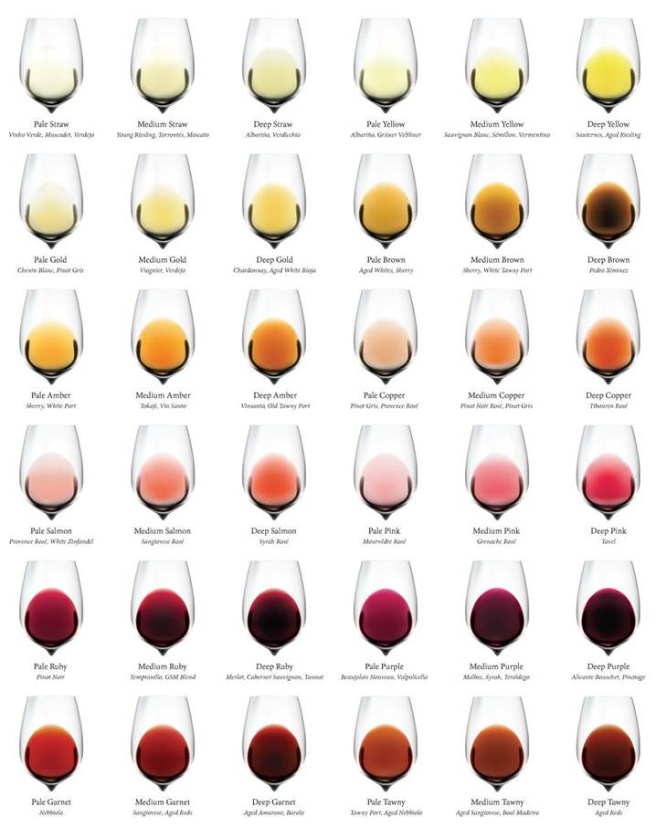 Probajte vino kao profesionalac