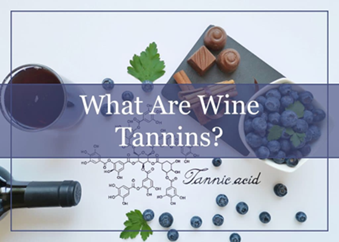 Šta su tanini u vinu?