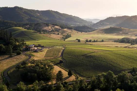 Kako jezera oblikuju vina svijeta