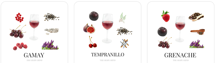 Pinot Noir - Sve što trebate znati