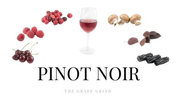Pinot Noir - Sve što trebate znati