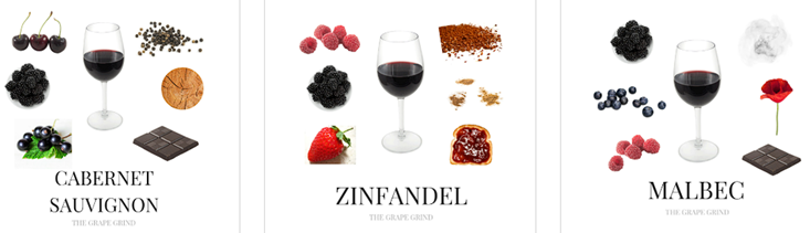 Syrah - Sve što trebate znati