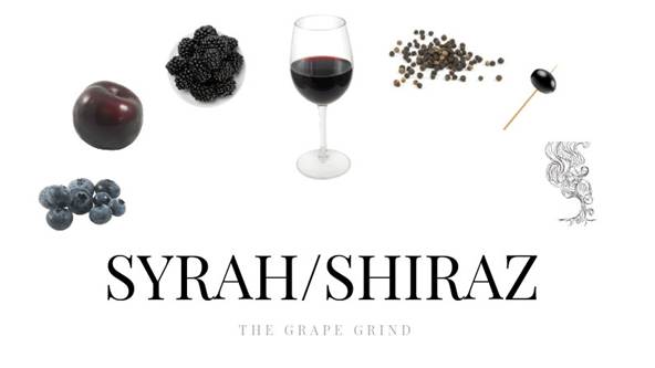 Syrah - Sve što trebate znati
