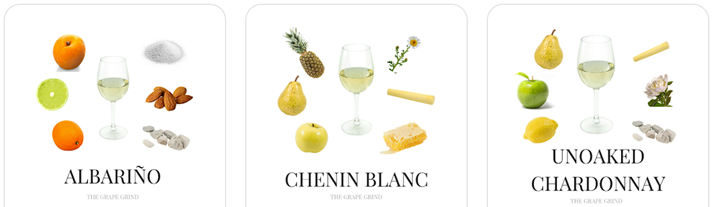 Pinot Grigio - Sve što trebate znati