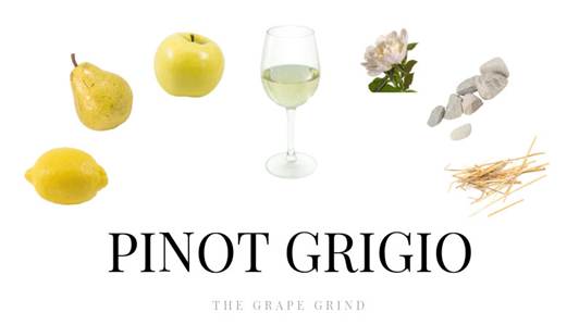 Pinot Grigio - Sve što trebate znati