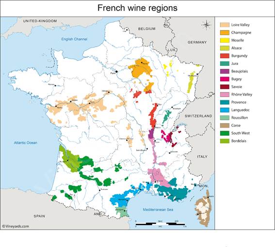 Viognier - Sve što trebate znati