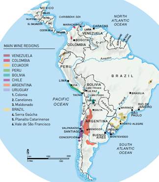 Malbec – Sve što trebate znati