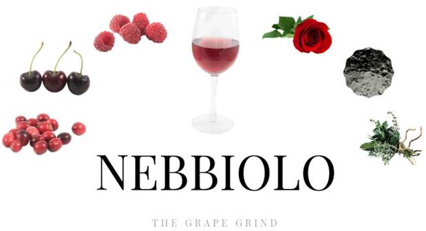Nebbiolo- Sve što trebate znati