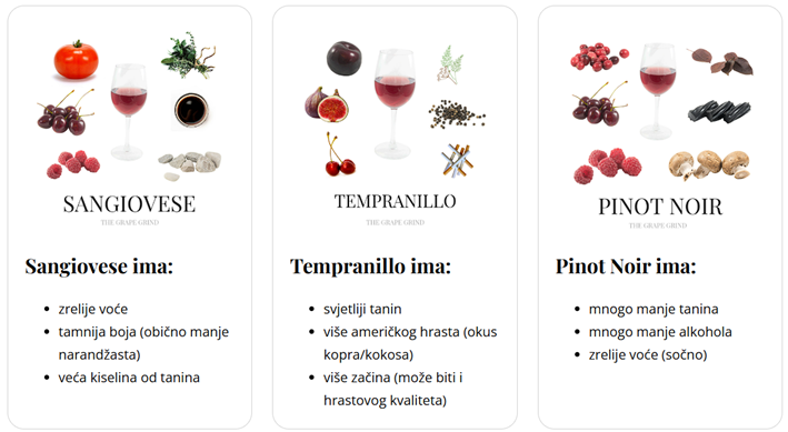 Nebbiolo- Sve što trebate znati