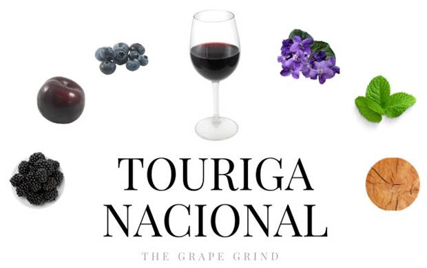 Touriga Nacional 