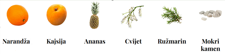 Torrontés-Sve što trebate znati