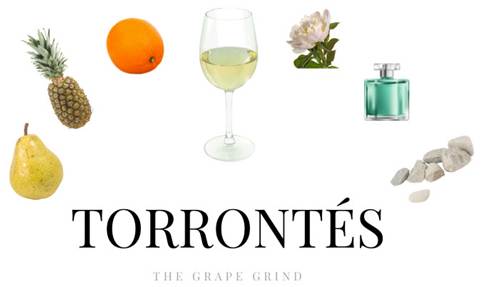 Torrontés-Sve što trebate znati