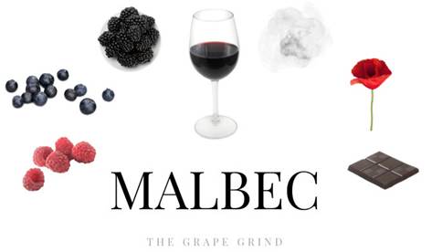Malbec – Sve što trebate znati