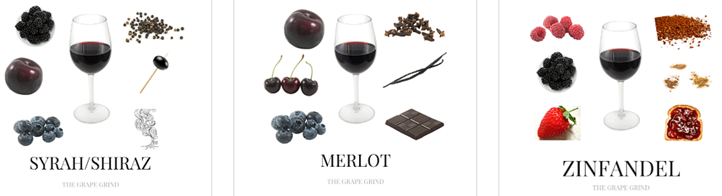 Malbec – Sve što trebate znati