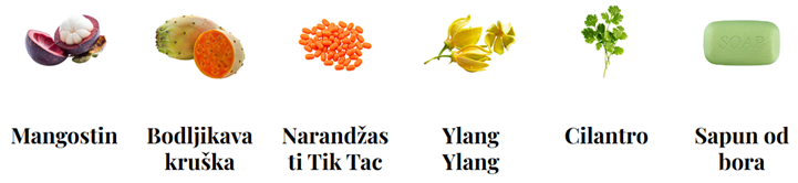 Torrontés-Sve što trebate znati