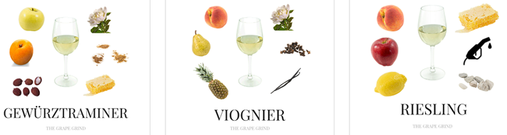 Torrontés-Sve što trebate znati