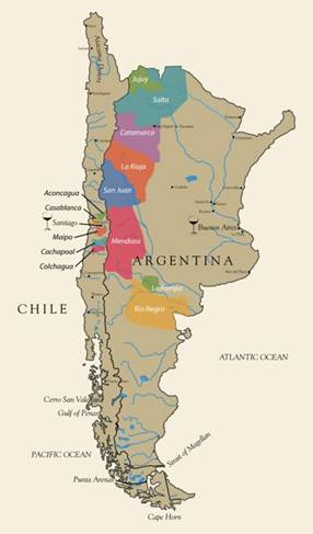 Torrontés-Sve što trebate znati