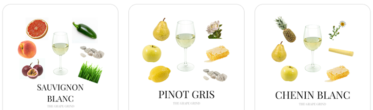 Semillon-Sve što trebate znati