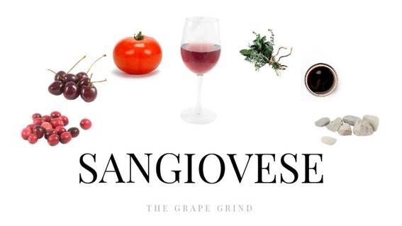 Sangiovese-Sve što trebate znati