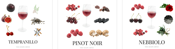 Sangiovese-Sve što trebate znati
