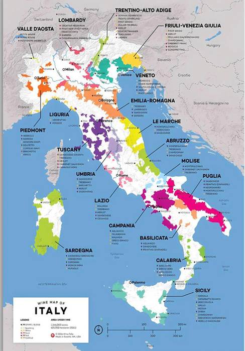 Sangiovese-Sve što trebate znati