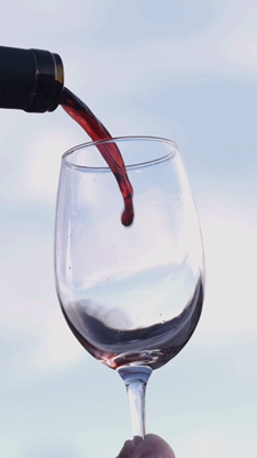 Piti crveno vino ljeti?
